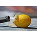 Lemon Zester Thumbnail 1