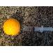 Tablecraft H76779 Flavor Injector Syringe Thumbnail 2