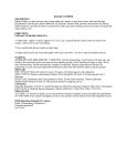 Instructions Preview