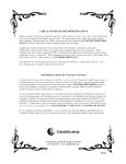 Manual Preview