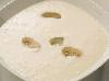 Mushroom Pieces & Stems - #10 Can Thumbnail 1