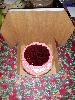 Cake / Bakery Box 10 inch x 10 inch x 4 inch 10 / Pack Thumbnail 2
