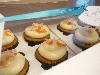 Window Cake / Bakery Box 14 inch x 10 inch x 4 inch 100/CS Thumbnail 10