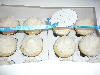 Window Cake / Bakery Box 14 inch x 10 inch x 4 inch 100/CS Thumbnail 13