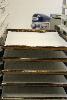 12 inch x 16 inch Quilon Parchment Paper Pan Liner 2000 / CS Thumbnail 44
