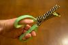 8 3/4 inch Herb Shears Thumbnail 1