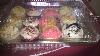 Low Dome Lid for 1/4 Sheet Cake Pan 25/Pack Thumbnail 4