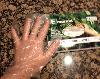 Disposable Poly Gloves - Large 100 / Pack for Food Service Thumbnail 4