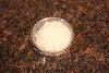 Dart Conex 200PCL 2 oz. Clear Plastic Souffle / Portion Cup Lid 125 / Pack Thumbnail 9