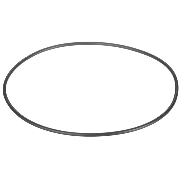 Pump O-Ring Gasket