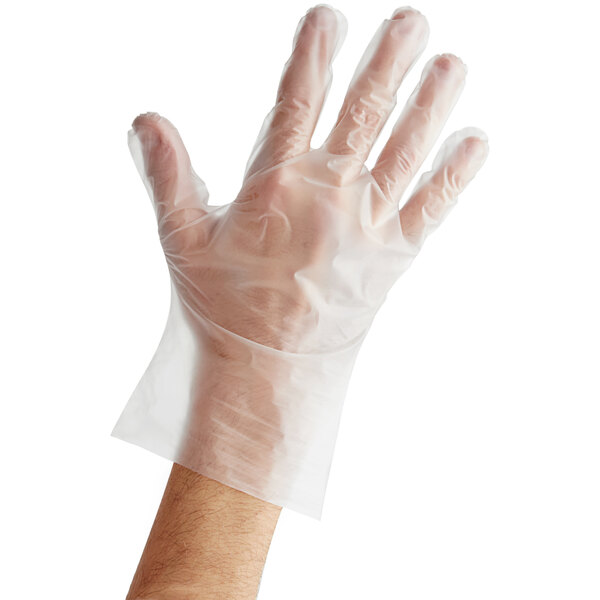 Disposable Foodservice TPE Gloves - Large - 200/Box