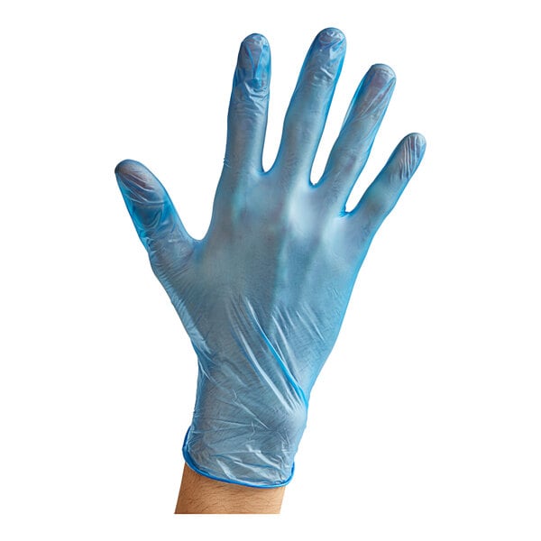 Powder-Free Disposable Blue Vinyl Gloves for Foodservice - 1,000/Case