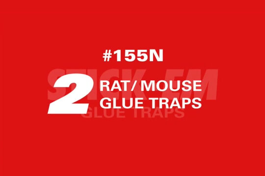 JT Eaton Stick-Em Rat & Mouse Size Glue Trap - 10 x 5 - Pack of 2 -  Viking Janitor Supplies