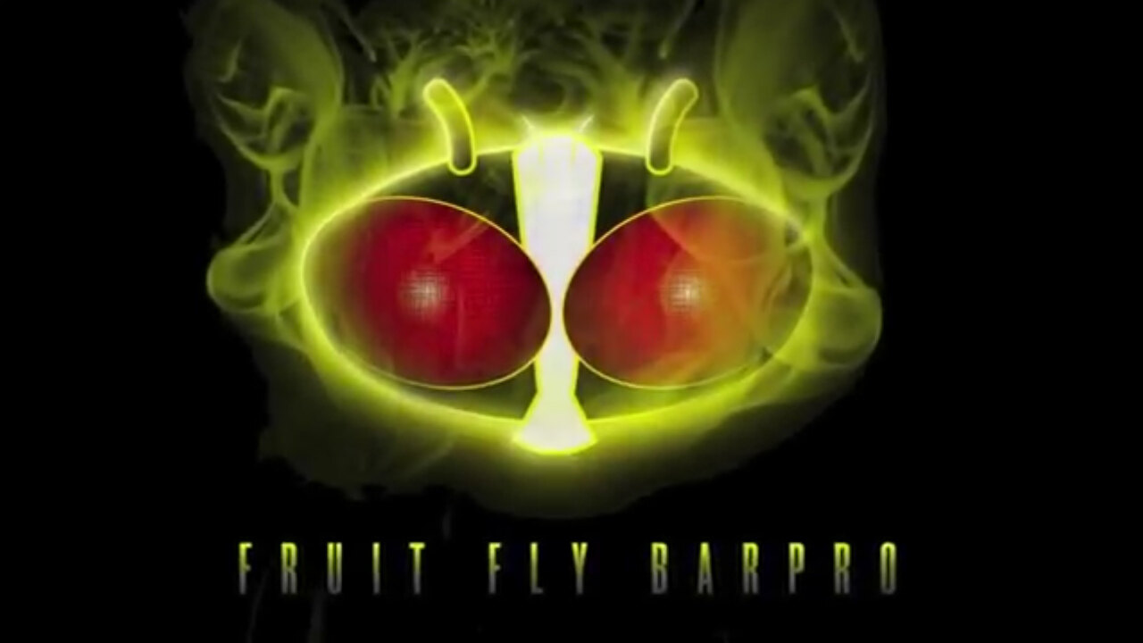 Fruit Fly BarPro Fly Strips
