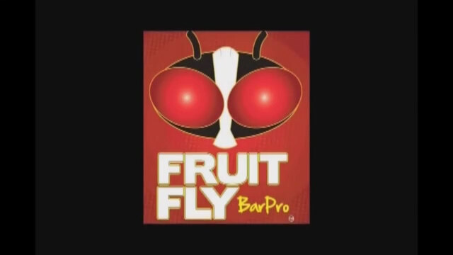 Fruit Fly Bar Pro (10-Pack) Insecticide Vapor Strip