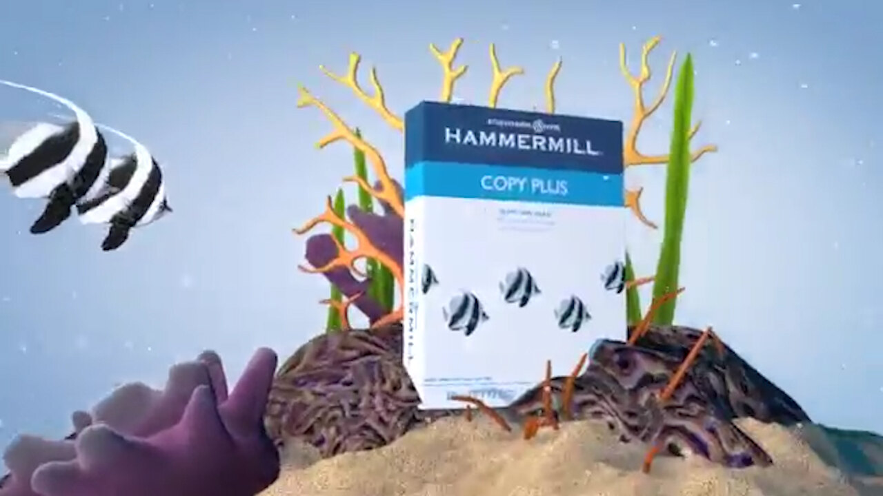 Hammermill Copy Plus Paper - White