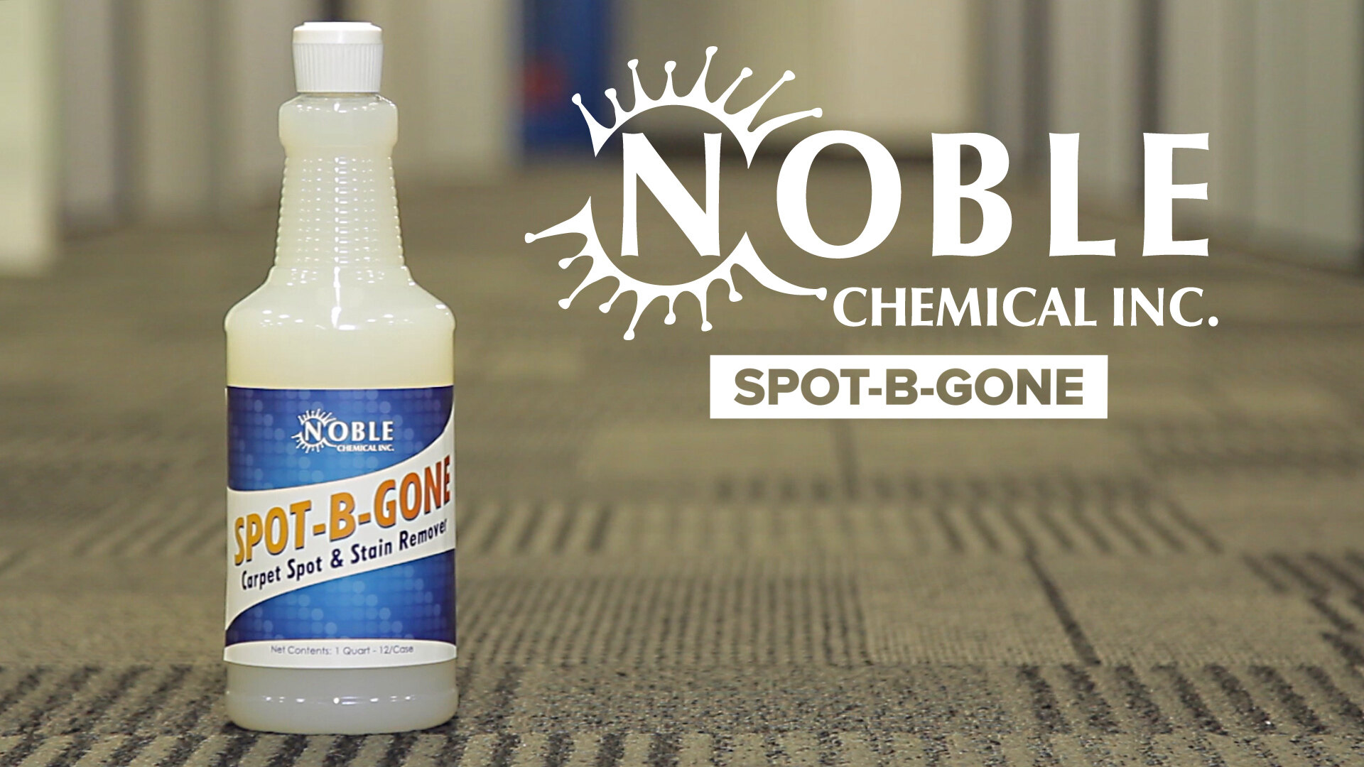 Noble Chemical 32 oz Spot-B-Gone Carpet Spot and Stain Remover