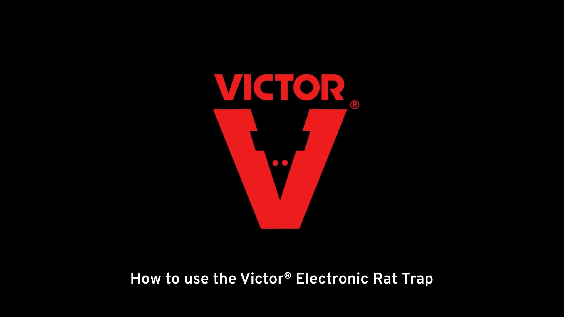 Victor Electronic Rat Trap M241, Woodstream, Electric trap