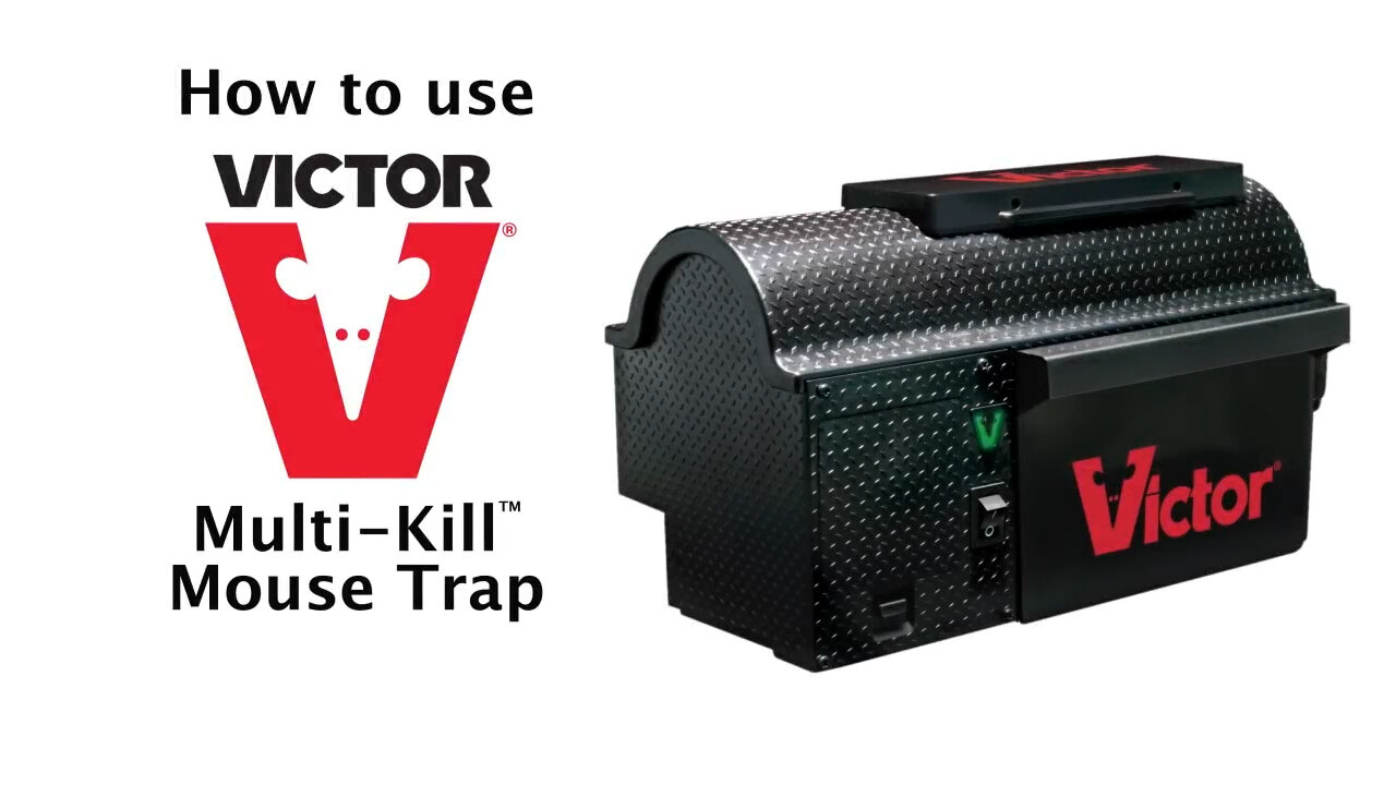 How to Use the Victor Electronic Mouse Trap 