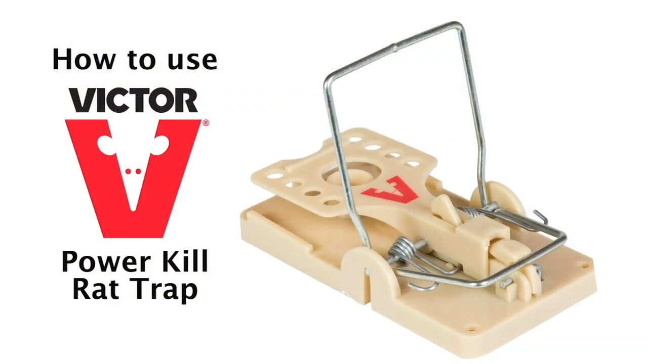 Victor Power Kill Rat Trap Instructional Video Video