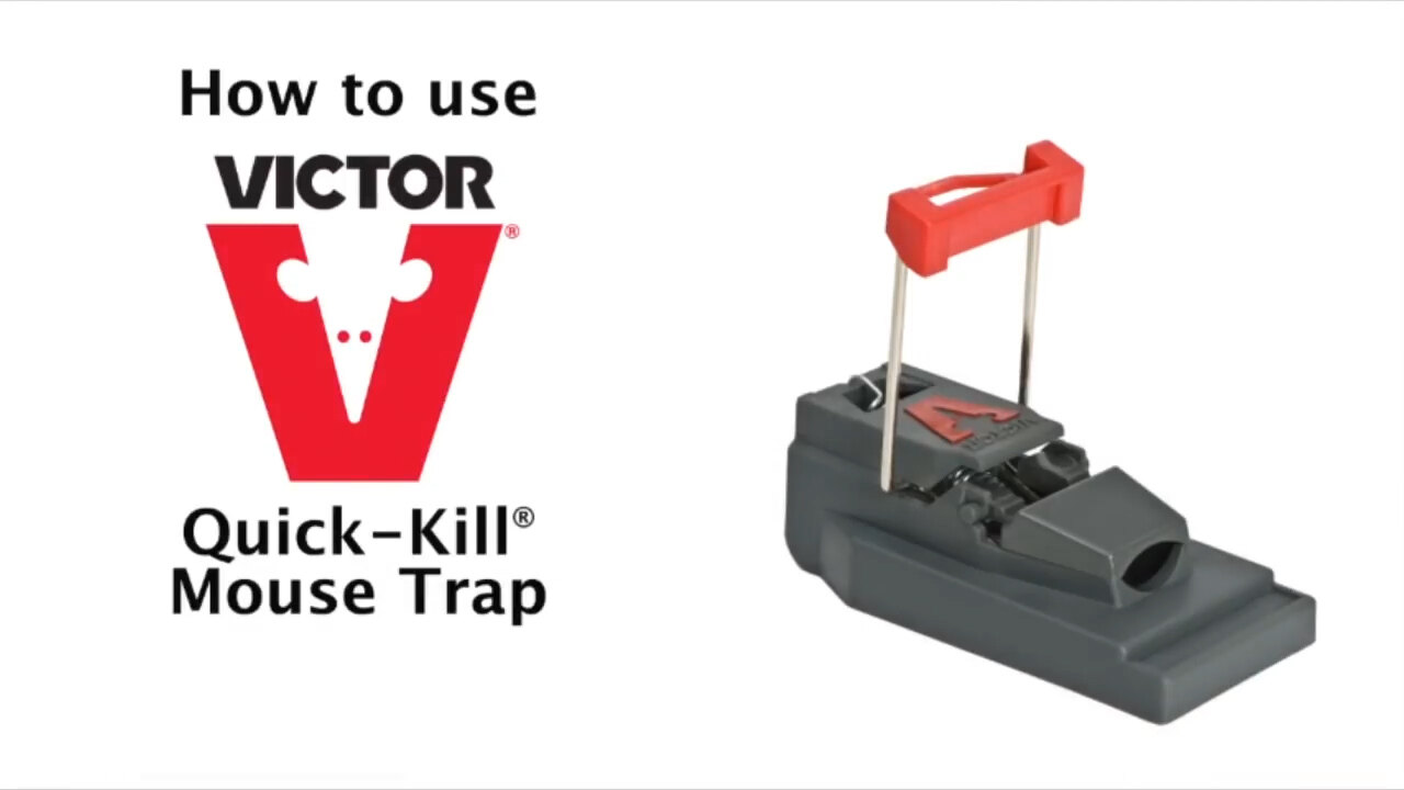 6-2/pk)-Victor Quick-Kill Easy To Use Mechanical Mouse Trap. Model: M122