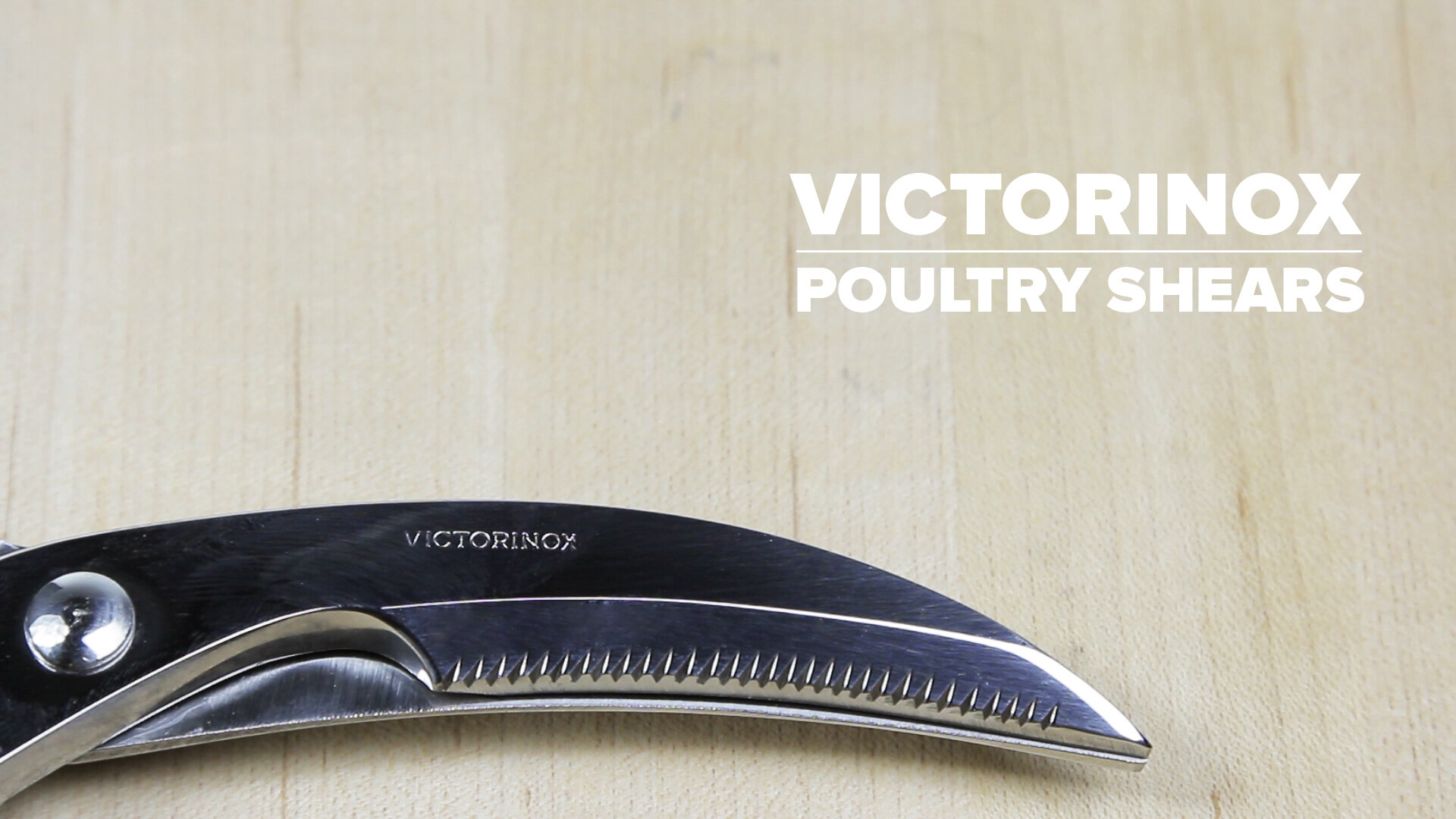 Victorinox 45903 10 Heavy Duty Stainless Steel Poultry Shears