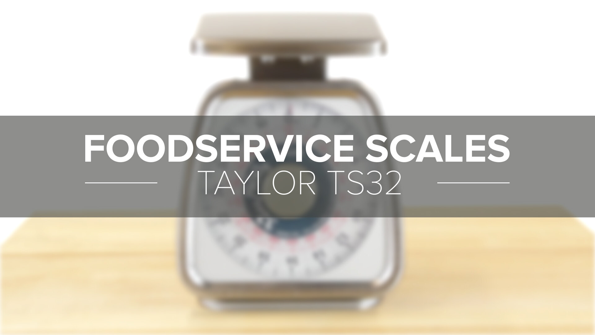 Taylor TS50 Heavy-Duty Mechanical SS Food Scale, 50 lb x 4 oz. Rotating Dial